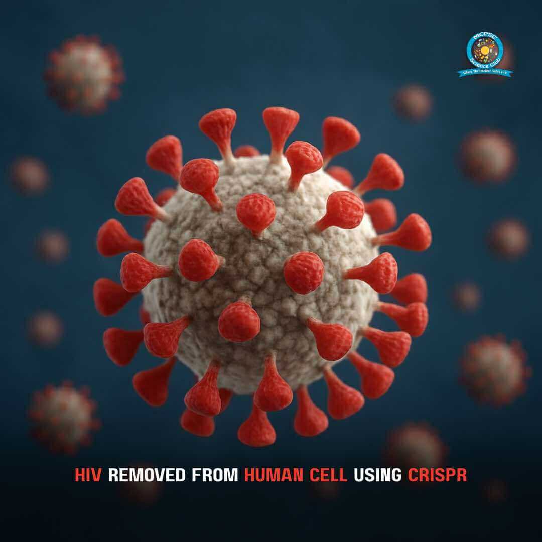 HIV Removed from Human Cells