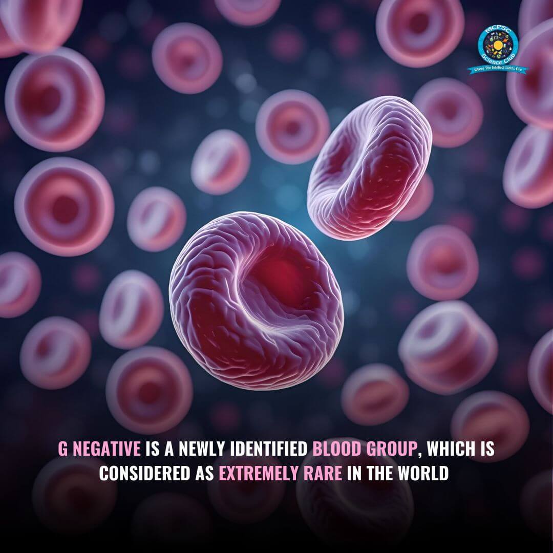 New G Blood Group